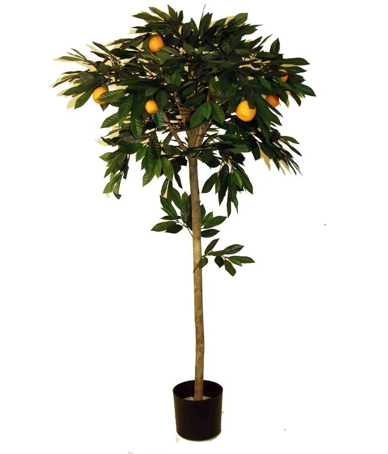 artificial orange tree by artificial landscapes | notonthehighstreet.com