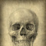 Ash Skull, Canvas Art, thumbnail 4 of 4