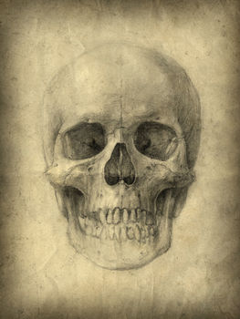 Ash Skull, Canvas Art, 4 of 4