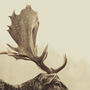 Stag Off, Canvas Art, thumbnail 2 of 3