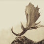 Stag Off, Canvas Art, thumbnail 3 of 3