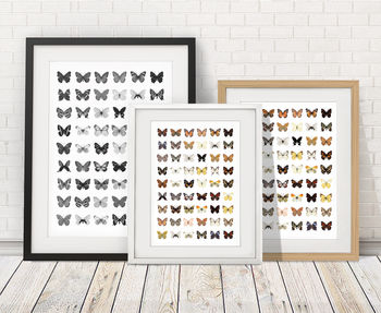 Colour Butterflies Print, 4 of 4