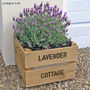 Personalised Square Planter Crate With Lavender Seeds, thumbnail 1 of 5