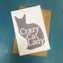 Crazy Cat Lady Greetings Card, thumbnail 2 of 2