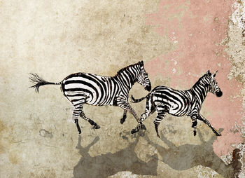 Signed Print / 'Cantering Zebras', 2 of 2