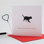 Personalised Cat Anniversary Card, thumbnail 1 of 5