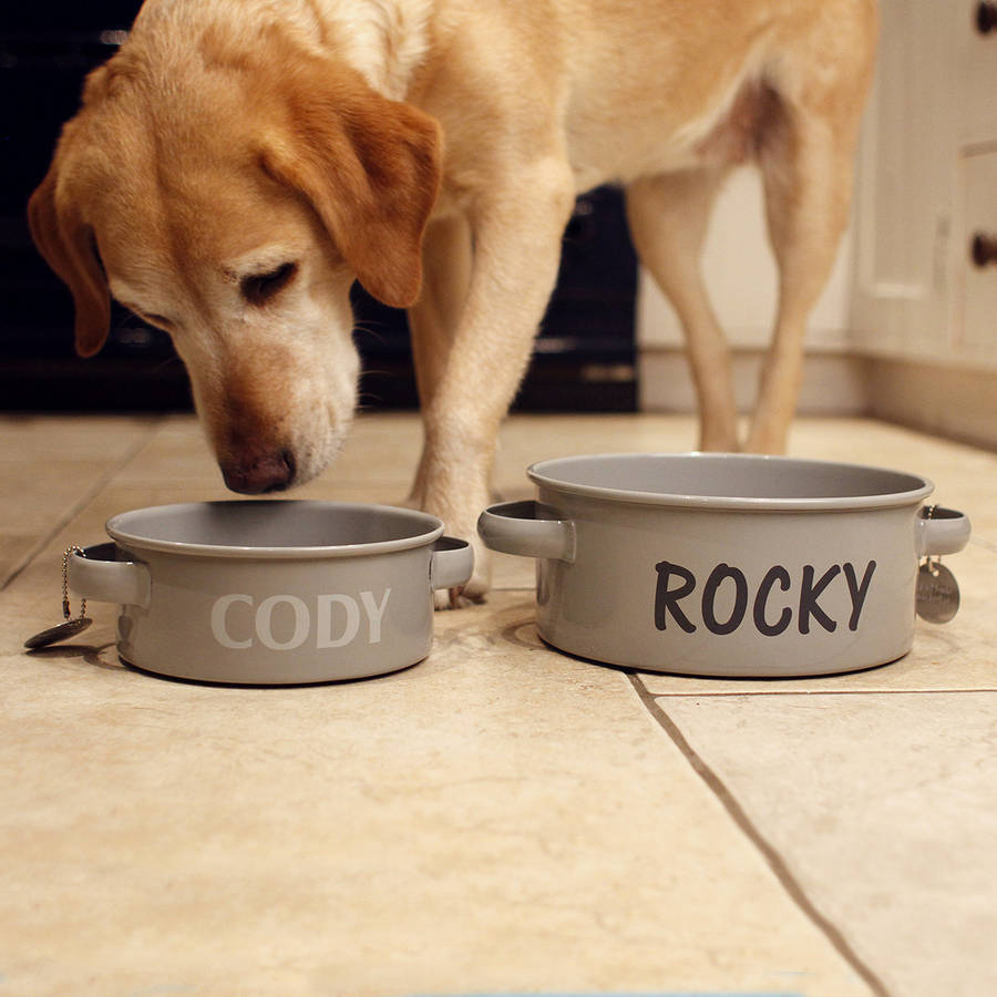 Enamel Personalised Dog Bowl By Jonny's Sister | notonthehighstreet.com