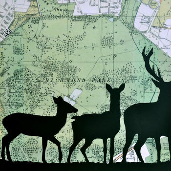 Deer Card With Richmond Park Map, 3 of 3