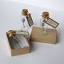 Tiny Personalised Rosebud In A Bottle, thumbnail 2 of 12