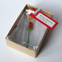 Tiny Single Rose In A Bottle With Personalised Message, thumbnail 1 of 11