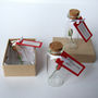 Tiny Single Rose In A Bottle With Personalised Message, thumbnail 9 of 11