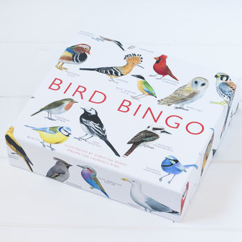 Bug Bingo, 2 of 5