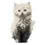 Cardboard Flat Pet White Kitten, thumbnail 2 of 4