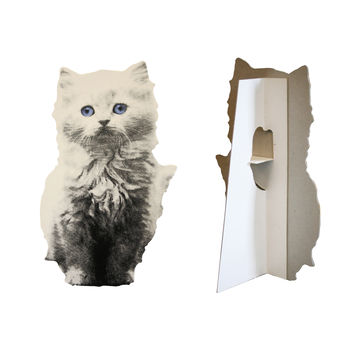 Cardboard Flat Pet White Kitten, 3 of 4