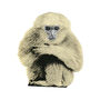 Cardboard Flat Pet Monkey, thumbnail 2 of 4