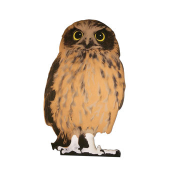Cardboard Flat Pet Owl, 2 of 4