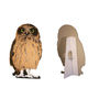 Cardboard Flat Pet Owl, thumbnail 3 of 4