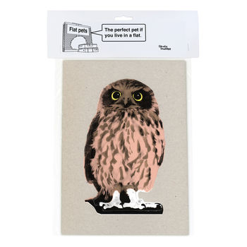 Cardboard Flat Pet Owl, 4 of 4