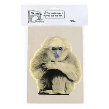 Cardboard Flat Pet Monkey, 4 of 4