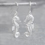 Silver Seahorse Earrings, thumbnail 1 of 6