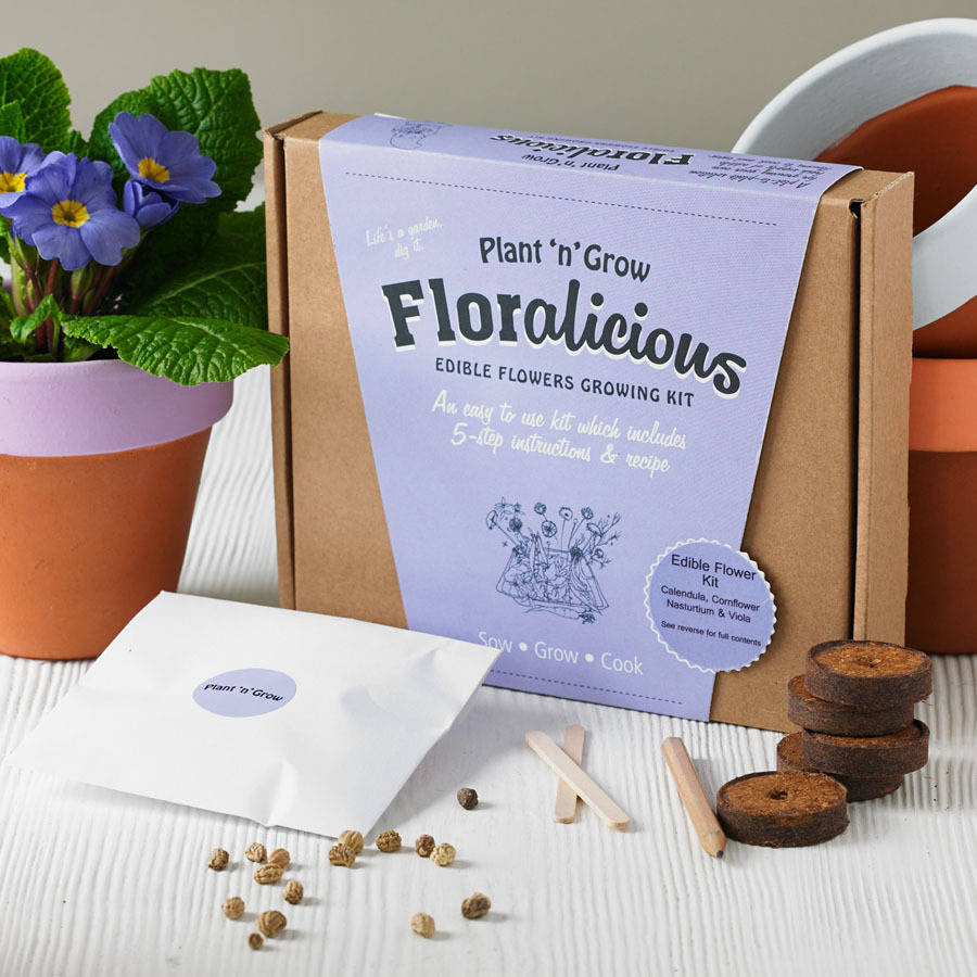 grow your own edible flower kit by plant and grow