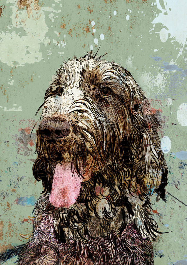 Signed Print / 'The Spinone', 1 of 2