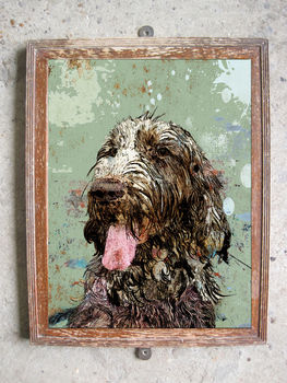 Italian Spinone Limited Edition Signed Print, 2 of 2