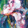 Pink Iris Limited Edition Fine Art Canvas Print, thumbnail 1 of 4