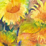 Limited Edition Sunflowers Two Fine Art Canvas Print, thumbnail 1 of 3