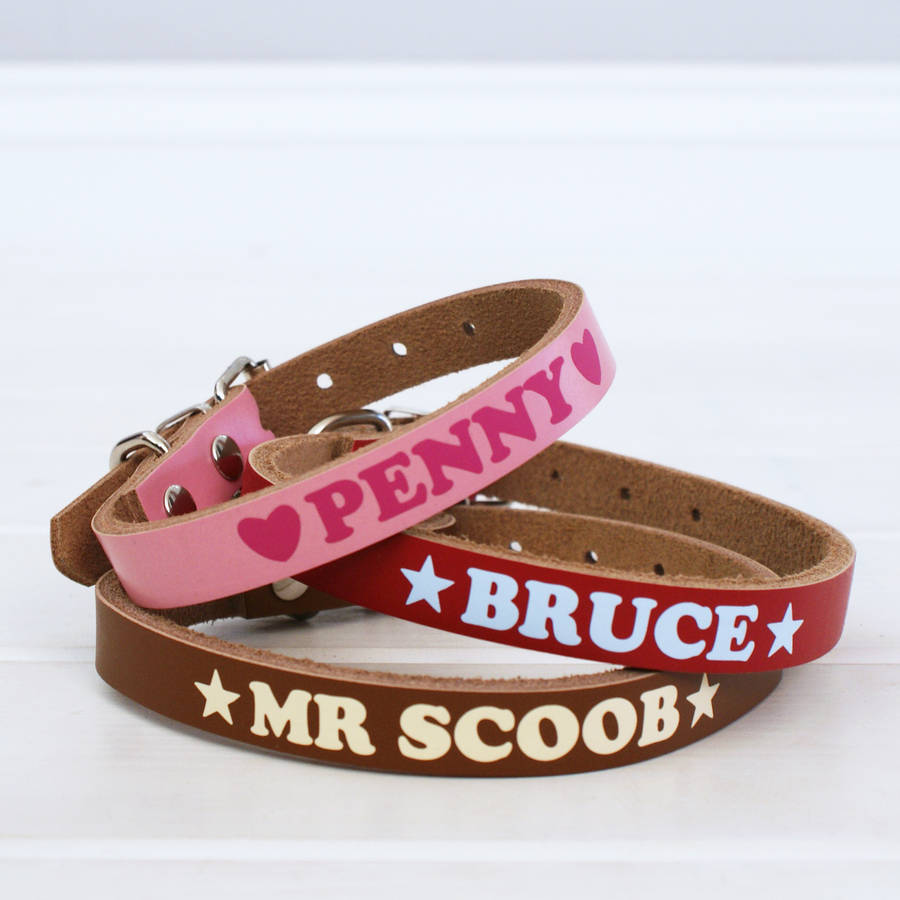 Personalised Colourful Dog Collar, 1 of 4