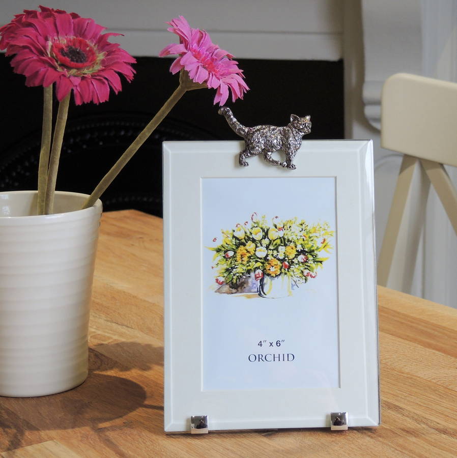 Cat Photo Frame 4x6' By The Alphabet Gift Shop
