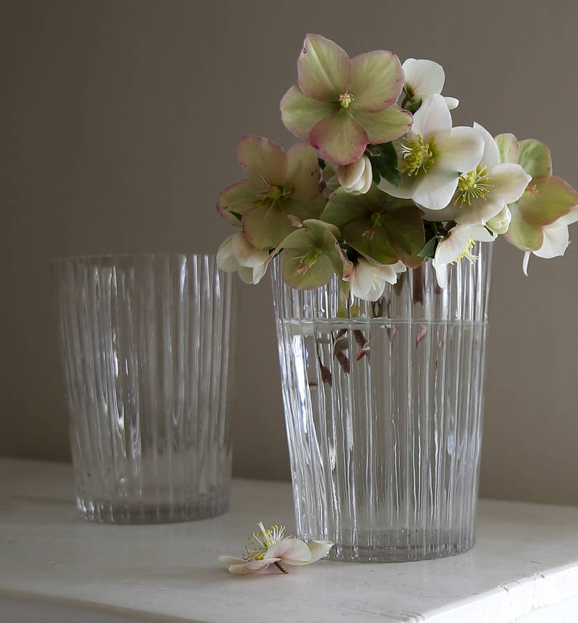 Ridged Glass Vase By Clem & Co