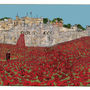 Poppies At The Tower Of London Placemat, thumbnail 2 of 2