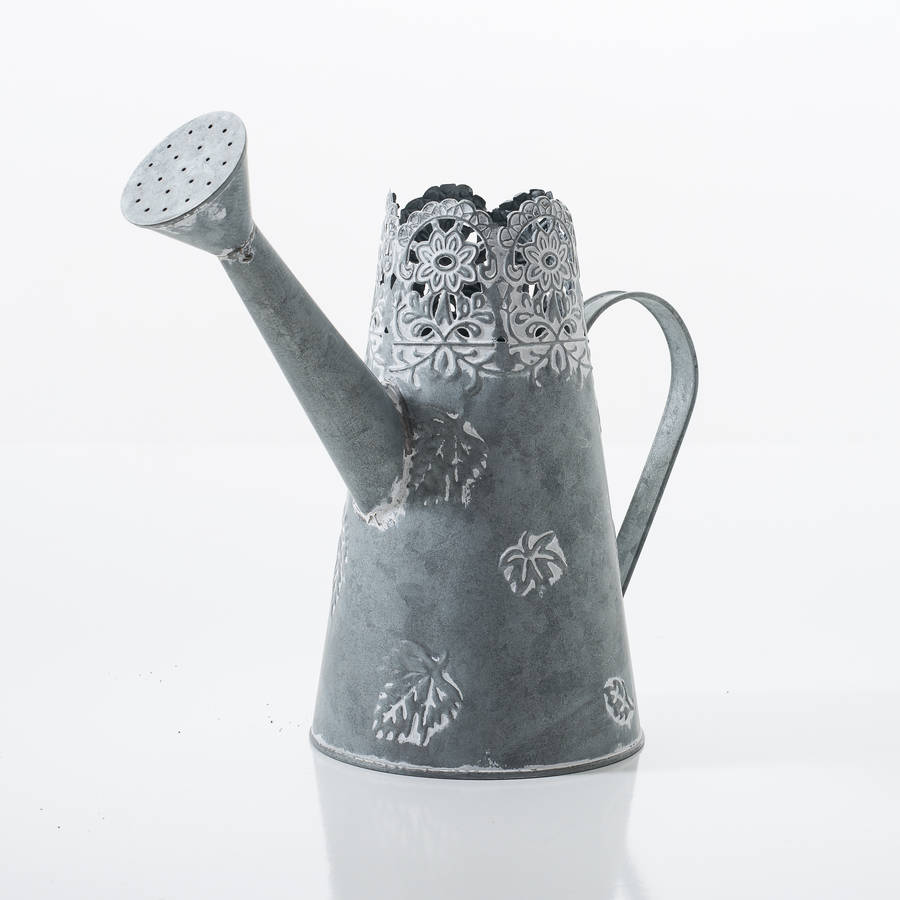 Ornamental Watering Can By The New Eden