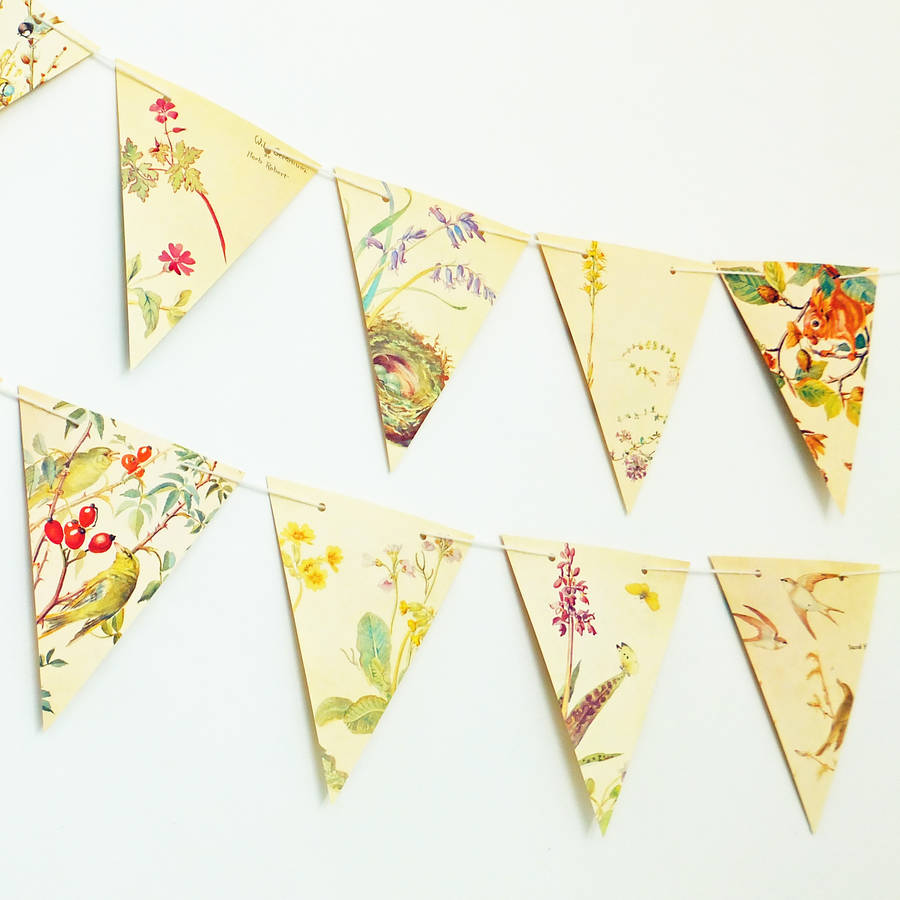 Nature Bunting, 1 of 5