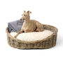 Greywash Oval Rattan Dog Basket And Mattress Set, thumbnail 2 of 8