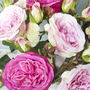 Everlasting Pink Rose, thumbnail 5 of 5