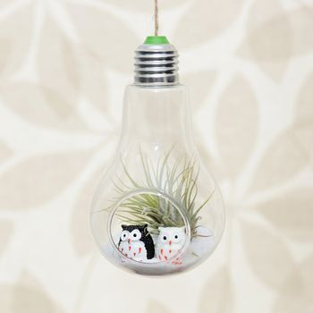 Hanging Light Bulb Air Plant Terrarium With Owls, 3 of 4