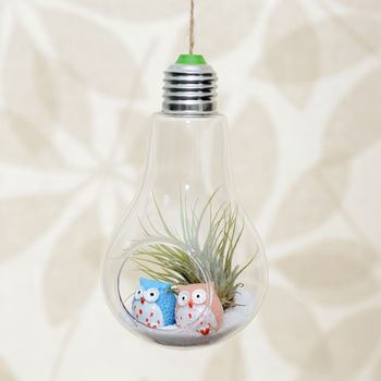 Hanging Light Bulb Air Plant Terrarium With Owls, 2 of 4