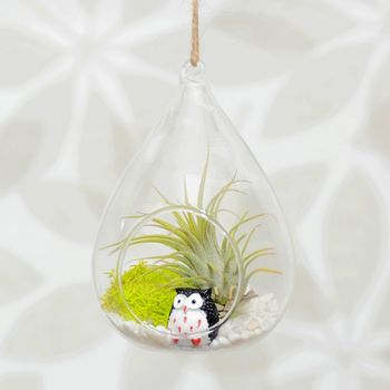 Hanging Glass Water Drop Air Plant Christmas Bauble, 2 of 5