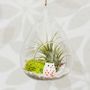 Hanging Glass Water Drop Air Plant Christmas Bauble, thumbnail 3 of 5