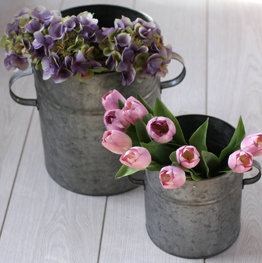 Two Zinc Tub Planters By Magpie Living