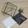 Glass Cube Succulent Terrarium Kit, thumbnail 5 of 7