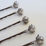 Set Of Five Antique Style Leaf Hair Grips, thumbnail 5 of 7
