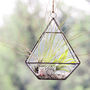 Hanging Geometric Vase Air Plant Terrarium With Owls, thumbnail 1 of 4