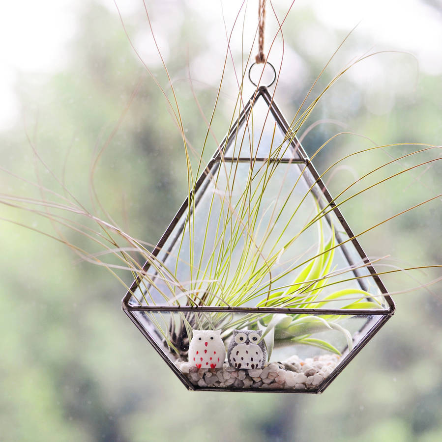 Hanging Geometric Vase Air Plant Terrarium With Owls, 1 of 4