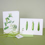 Pack Of Four 'Parsley Pea' Cards, thumbnail 1 of 5
