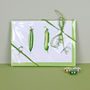 Pack Of Four 'Parsley Pea' Cards, thumbnail 2 of 5