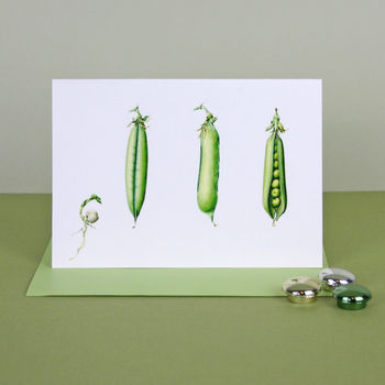 Pack Of Four 'Parsley Pea' Cards, 5 of 5