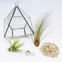 Hanging Geometric Vase Air Plant Terrarium With Owls, thumbnail 3 of 4